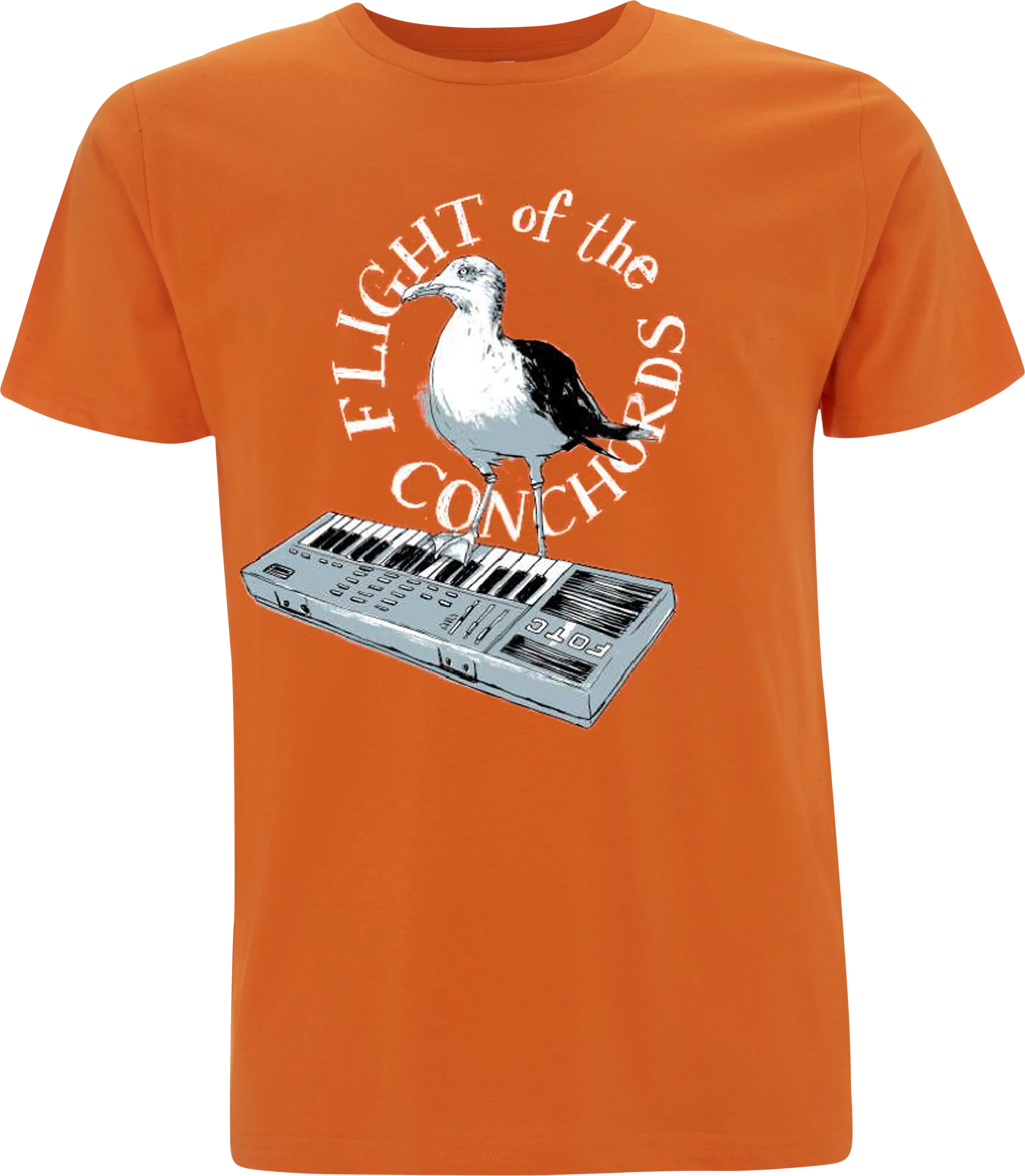 Seagull