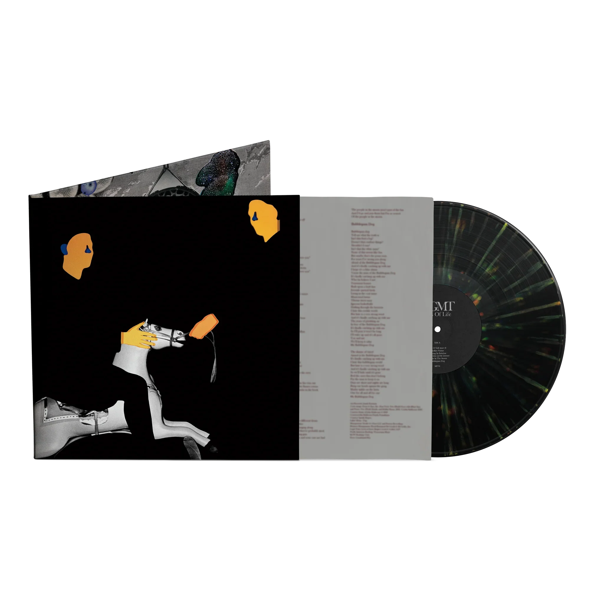 Loss Of Life Limited Edition Prismatic Splatter LP - Image 4