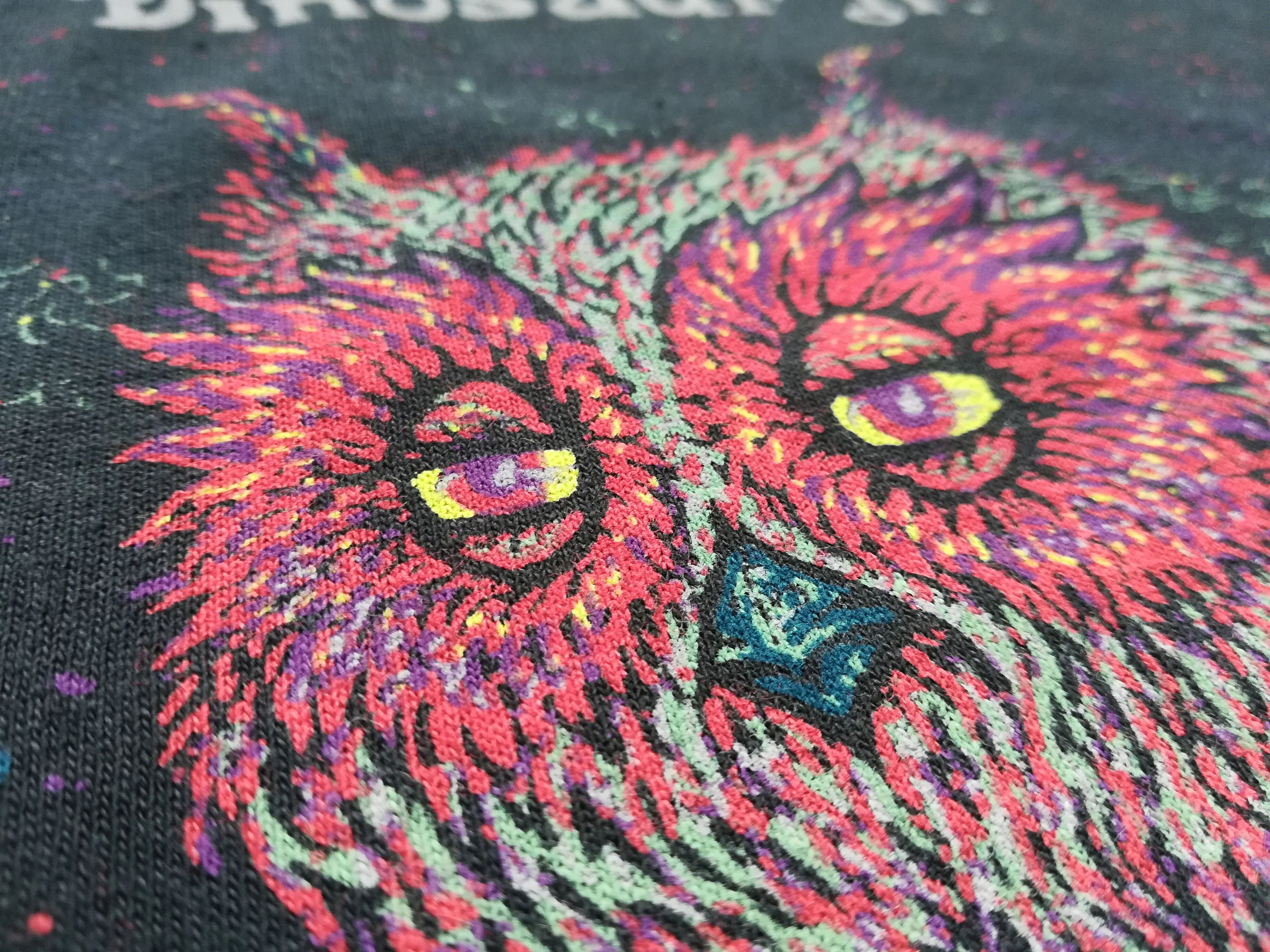 Night Owl - Image 2