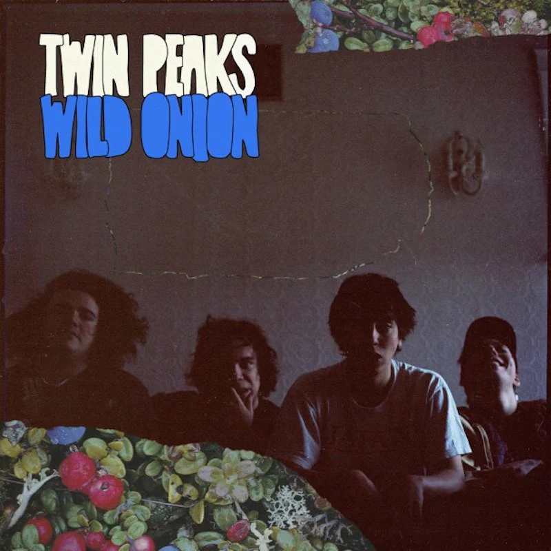 Wild Onion CD