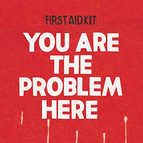 You Are The Problem Here Poster